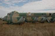 Photo Number 13