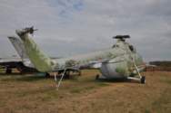 Photo Number 7